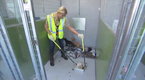 The World According to Paris - Dog Shelter, Part 2