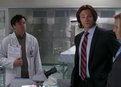 play video on Hulu