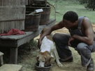 Sounder - Full Movie
