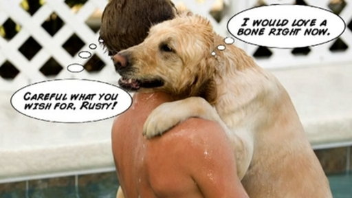 Animal Thoughts
