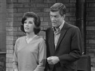 The Dick Van Dyke Show Viva Petrie