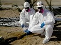 NBC Nightly News with Brian Williams - Soldiers Sue Over Alleged Toxic Exposure