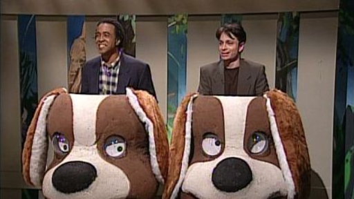 Name That Dog! Video