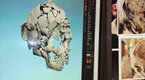 09x05 An Ancient Human Skull Screenshot