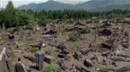 Stargate SG-1: Endgame (season 8, episode 10)