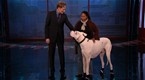 The Tonight Show with Conan O'Brien: Tall Dog vs Tall Dog