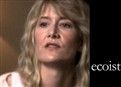 play video on Hulu
