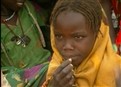Crisis in Darfur with Ann Curry picture