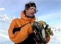 Andrew Crawford picture