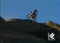 Ocotillo picture