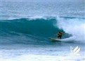 Ross Williams picture