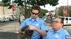 It's Always Sunny in Philadelphia: Bums: Making A Mess All Over The City (season 3, episode 14)