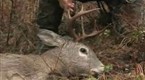 TRCP's Life in the Open: Kootenai Whitetail