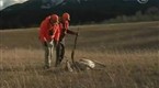 TRCP's Life in the Open: Montana Whitetail