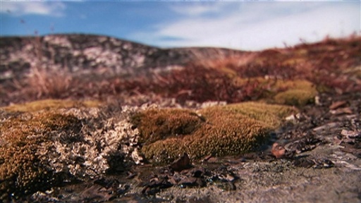 Six Degrees Could Change The World Preview Video