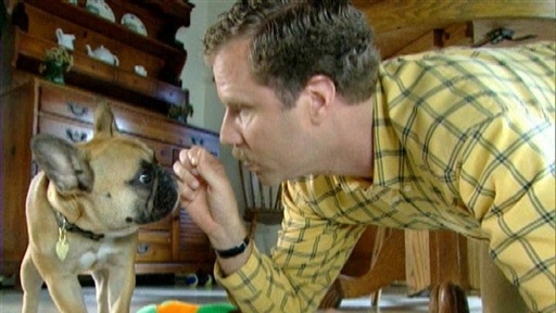Dissing Your Dog