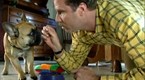 Saturday Night Live: Dissing Your Dog