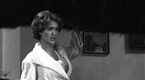Saturday Night Live: King Kong The Directors Cut