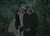 Into the Woods picture