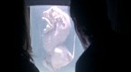 Firefly: The Message (season 1, episode 12)
