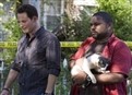 Ride Along picture