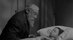 Miracle on 34th Street: Bubble Gum Experiment