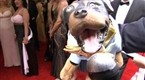 Late Night with Conan O'Brien: Triumph at the Tonys (6/12/07)