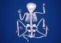 The Girl with Eight Limbs picture