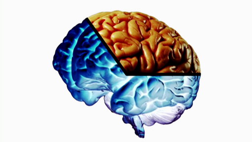 The Biggest Brain Video