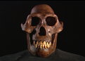 Naked Science : Was Darwin Wrong?