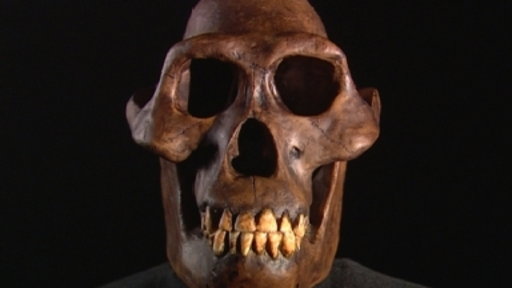 Was Darwin Wrong?