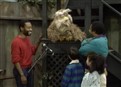 play video on Hulu