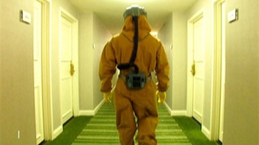 Swine Flu: the Science of Pandemics
