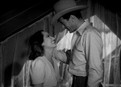 The Cowboy and the Lady picture