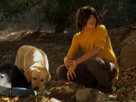 The Gold Retrievers - Full Movie