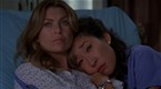 Grey's Anatomy Companions and Co-Stars Grey's Anatomy