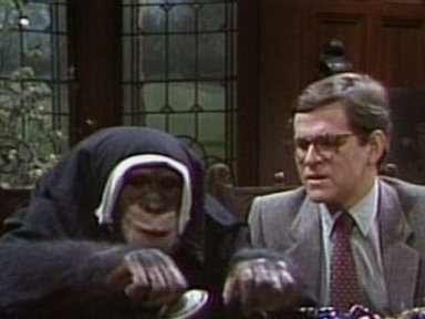 I Married a Monkey Video