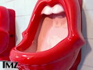 Rolling Stones-Inspired Urinals Spark Outage