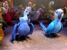 Twentieth Century Fox: Rio