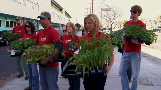 Jamie's Garden For West Adams