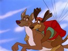 Pair-A-Dogs Lost