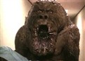 Monster in the Closet