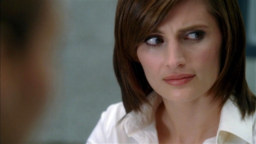 ABC's Castle is about Rick Castle, a famous crime novelist and rockstar ...