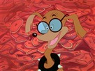 La Doggy Vita