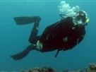 Destination Truth | Season 4 Episode 4 | Ghost Fleet / Japanese River Monster