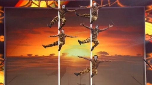 Zuma Zuma Performs!