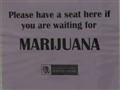 NBC TODAY Show - Woman Goes Through Life With ‘Marijuana’ First Name