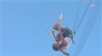 Wild On: Flying Femmes