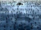 The Fourth Apocalypse