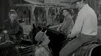 The Horse Traders